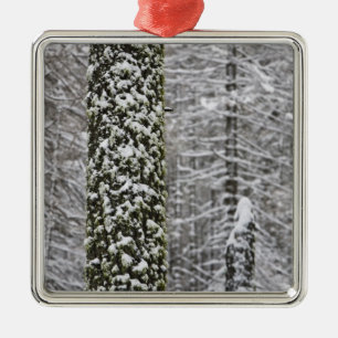 Schneebedeckte Baumstämme im Yosemite-Tal - Silbernes Ornament