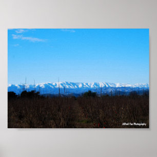 Schneebedeckte Berge hinter Persimmonfeld Poster