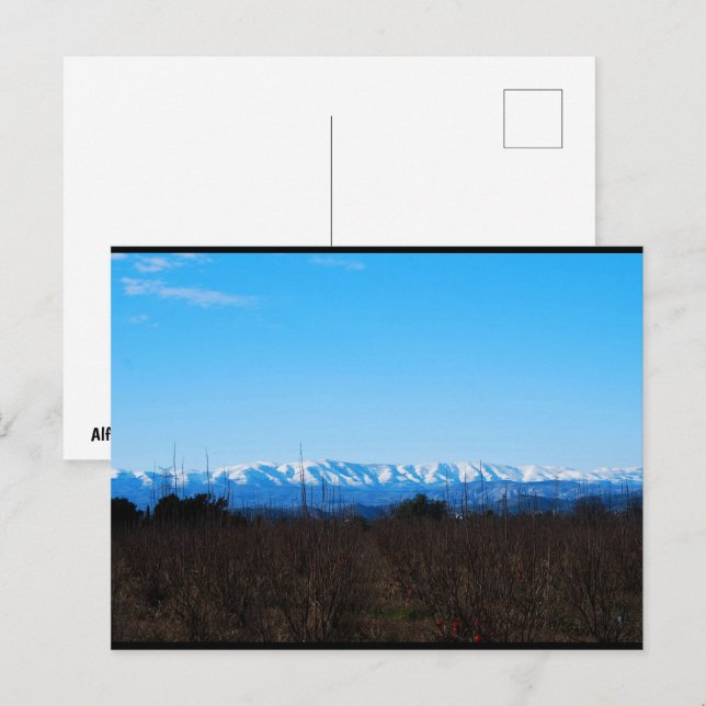 Schneebedeckte Berge hinter Persimmonfeld Postkarte (Vorne/Hinten)