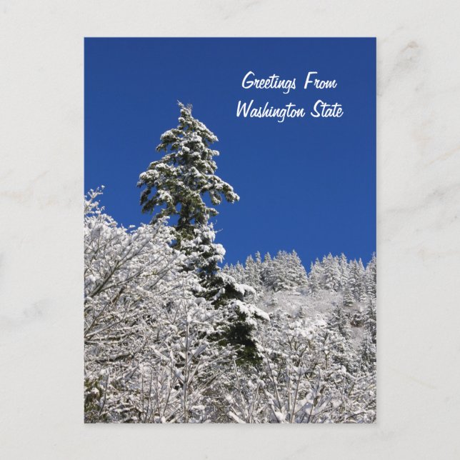 Schneebedeckte Bergreetings aus Washington Postkarte (Vorderseite)