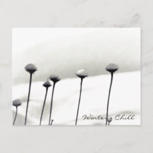 Schneebedeckte Blume Postkarte