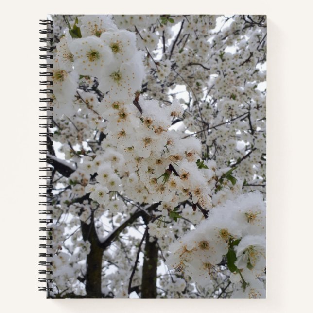 Schneebedeckte Blüten Spiral Notizbuch (Vorderseite)
