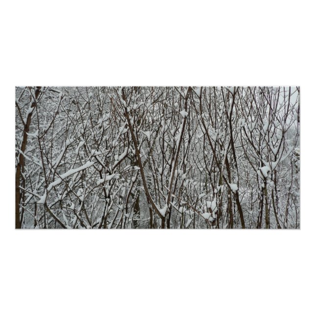 Schneebedeckte Branchen Winter Abstrakt Poster (Vorderseite)