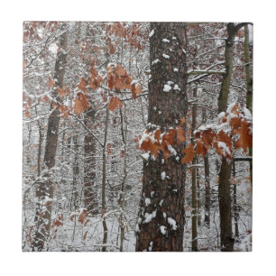 Schneebedeckte Eichen - Winter Naturfotografie Fliese