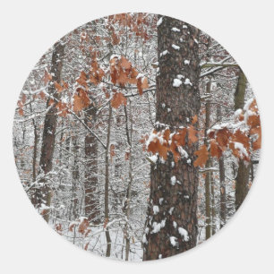 Schneebedeckte Eichen - Winterlandschaftsfotografi Runder Aufkleber
