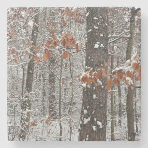 Schneebedeckte Eichen - Winterlandschaftsfotografi Steinuntersetzer