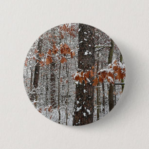 Schneebedeckte Eichenbäume Winternaturfotografie Button