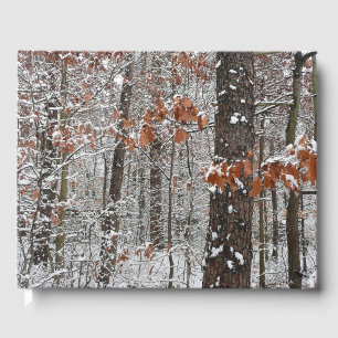 Schneebedeckte Eichenbäume Winternaturfotografie Gästebuch