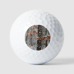 Schneebedeckte Eichenbäume Winternaturfotografie Golfball