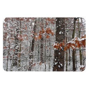 Schneebedeckte Eichenbäume Winternaturfotografie Magnet