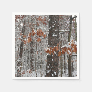 Schneebedeckte Eichenbäume Winternaturfotografie Serviette