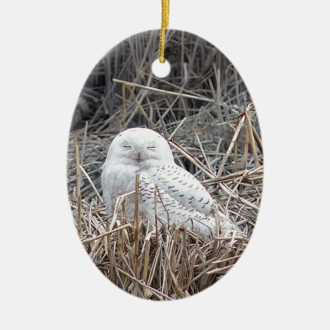 schneebedeckte Eule Keramik Ornament (Vorne)