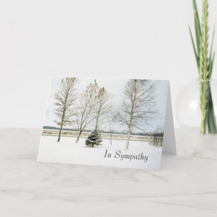 schneebedeckte Evergreen1card, im Beileid Karte