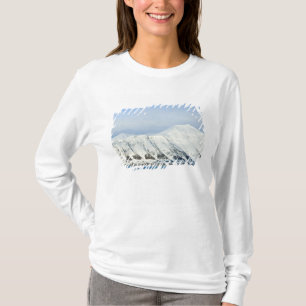 Schneebedeckte Gipfel Woodfjord Svalbard 2 T-Shirt
