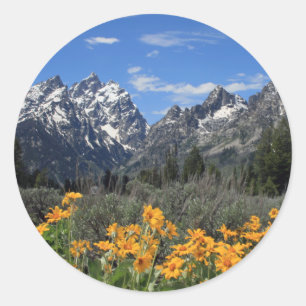 Schneebedeckte Grand Teton Range mit gelben Blumen Runder Aufkleber