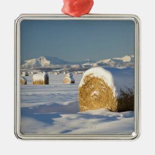 Schneebedeckte Heu-Ballen Silbernes Ornament