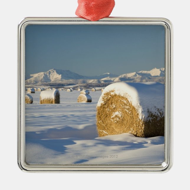 Schneebedeckte Heu-Ballen Silbernes Ornament (Vorne)