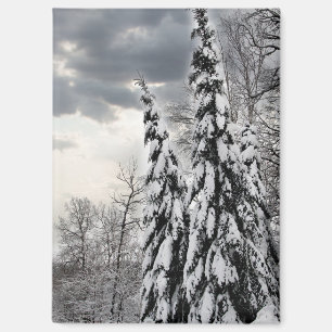 Schneebedeckte Immergrüne Bäume unter Dramatischem Magnet
