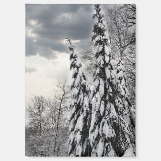 Schneebedeckte Immergrüne Bäume unter Dramatischem Magnet