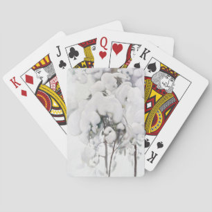 Schneebedeckte Kiefernjungbäume (von Pekka Halonen Spielkarten