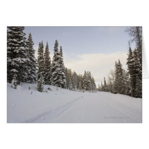 Schneebedeckte Landschaft