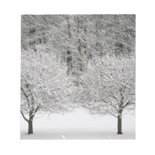 Schneebedeckte Landschaft Notizblock