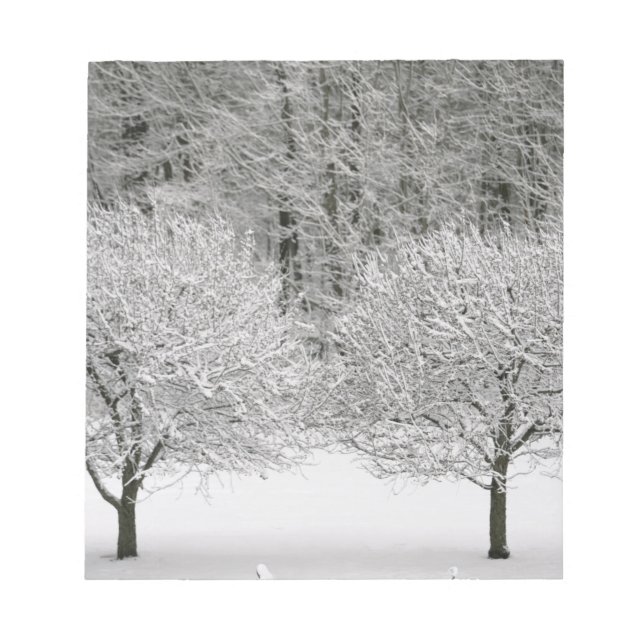 Schneebedeckte Landschaft Notizblock (Vorderseite)
