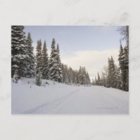 Schneebedeckte Landschaft