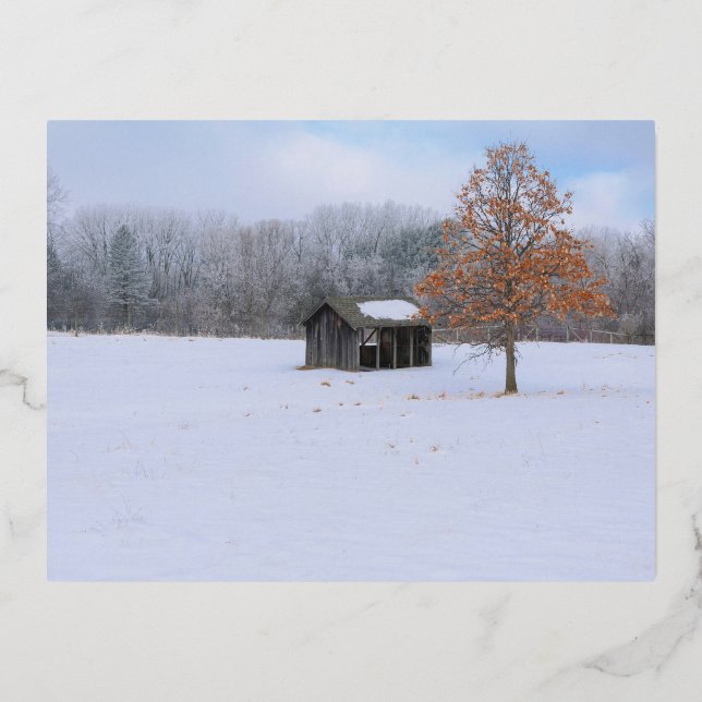 Schneebedeckte Paddock Foil Holiday Postkarte (Vorderseite)