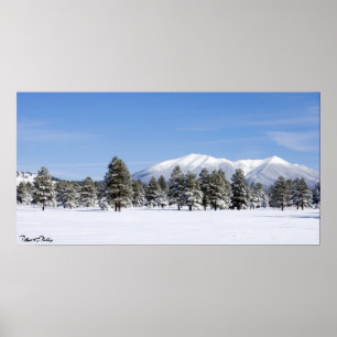Schneebedeckte Pines & San Francisco Peaks Arizona Poster