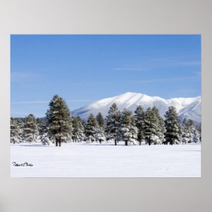 Schneebedeckte Pines & San Francisco Peaks Arizona Poster