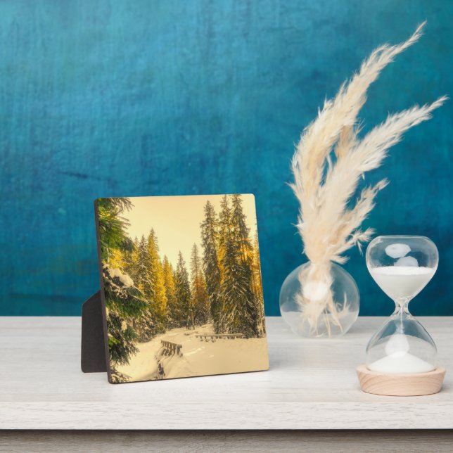 Schneebedeckte Pinienwälder Foto Fotoplatte (InSitu)