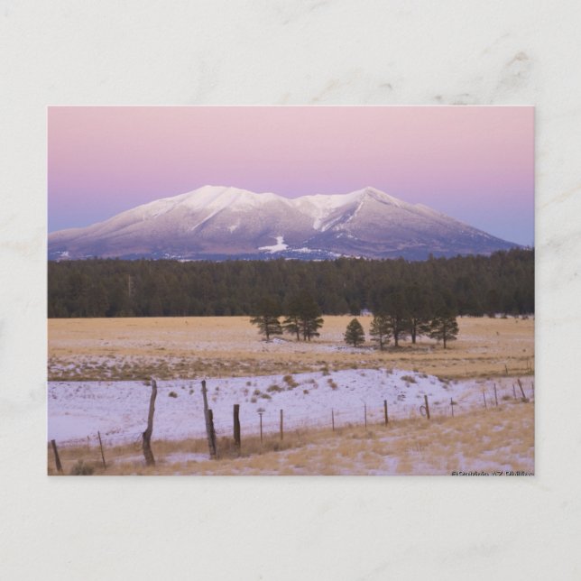 Schneebedeckte San Francisco Peaks bei Sonnenunter Postkarte (Vorderseite)
