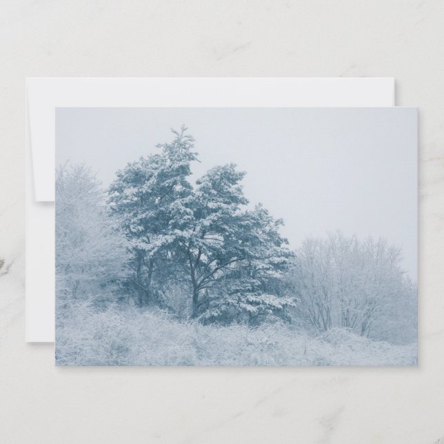 Schneebedeckte Tree Winter Nature Foto Card (Vorderseite)
