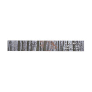 Schneebedeckte Wälder Winterlandschaft Fotografie