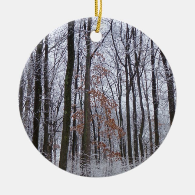 Schneebedeckte Wälder Winterlandschaft Fotografie Keramik Ornament (Vorne)