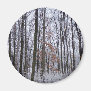 Schneebedeckte Wälder Winterlandschaft Fotografie Magnet