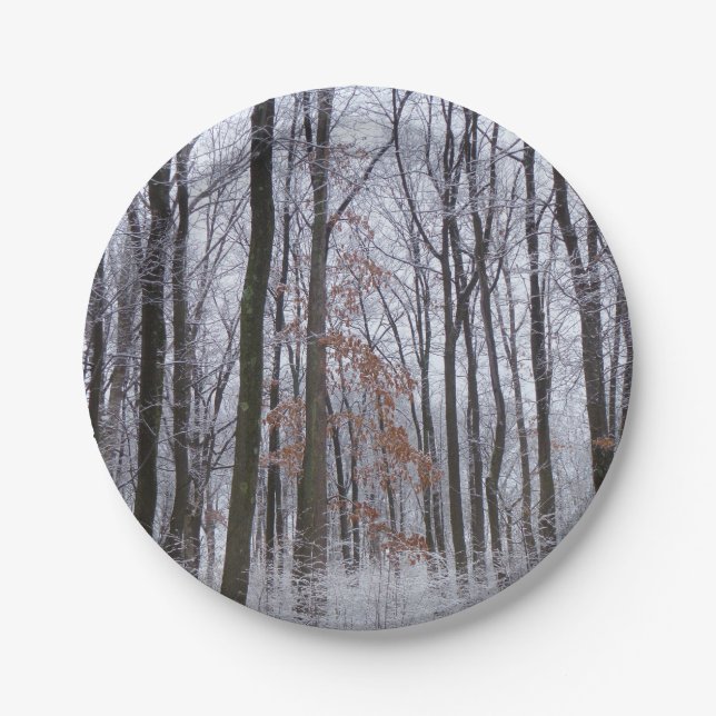 Schneebedeckte Wälder Winterlandschaft Fotografie Pappteller (Vorderseite)