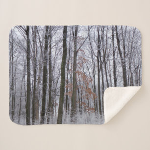 Schneebedeckte Wälder Winterlandschaft Fotografie Sherpadecke