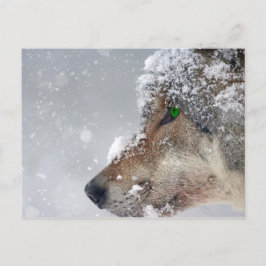 Schneebedeckte Wolf Postkarte