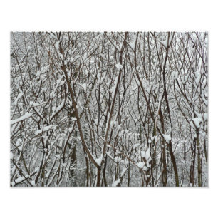 Schneebedeckte Zweige Winter Abstrakt Fotodruck