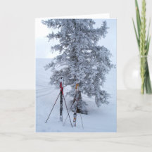 Schneebedeckter Baum und Skis