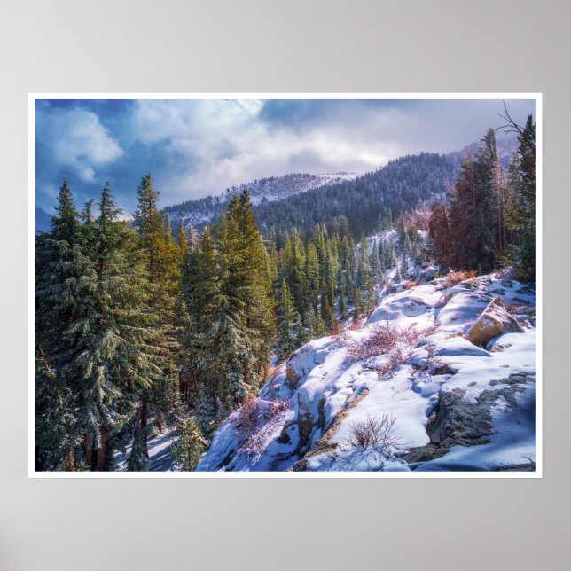 Schneebedeckter Bergwald-Wandkunst Alpine Winterdr Poster (Vorne)
