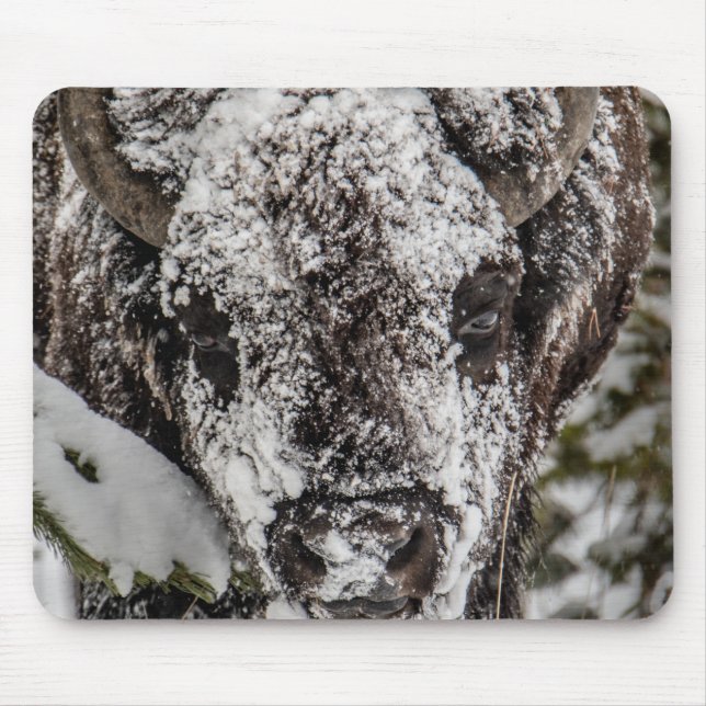 Schneebedeckter Bison Yellowstone Mousepad (Vorne)