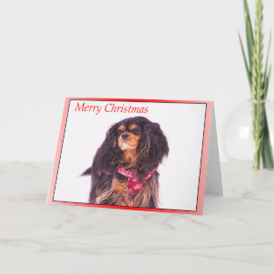 Schneebedeckter Cavalier King Charles Spaniel Weih Feiertagskarte
