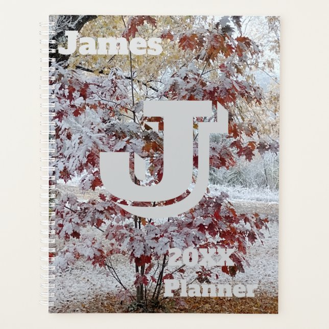 Schneebedeckter Eichenbaum, Herbst/Winter-Szene Planer (Vorderseite)