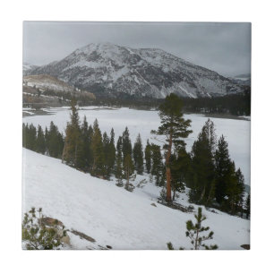 Schneebedeckter Ellery Lake Kalifornien Winterland Fliese