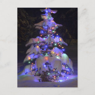 Schneebedeckter, hellblauer Weihnachtsbaum Feiertagspostkarte