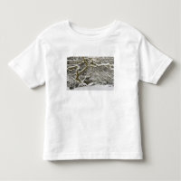 Schneebedeckter japanischer Ahorn