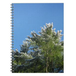 Schneebedeckter Kiefernbaum auf blauem Himmel Notizblock